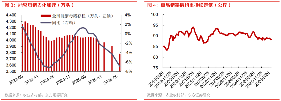 一起讨论下商品猪宰后均重持续走低（公斤）