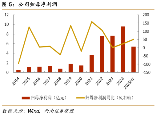 咨询大家公司归母净利润?