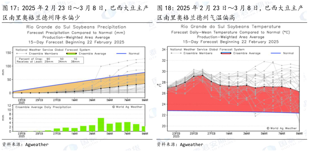 我想了解一下2025 年 2 月 23 日3 月 8 日，巴西大豆主产