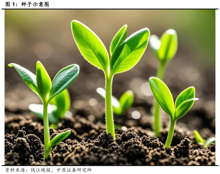 谁能回答种子示意图