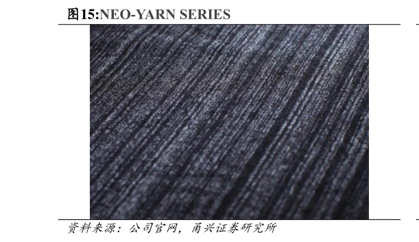 如何看待NEO-YARN SERIES