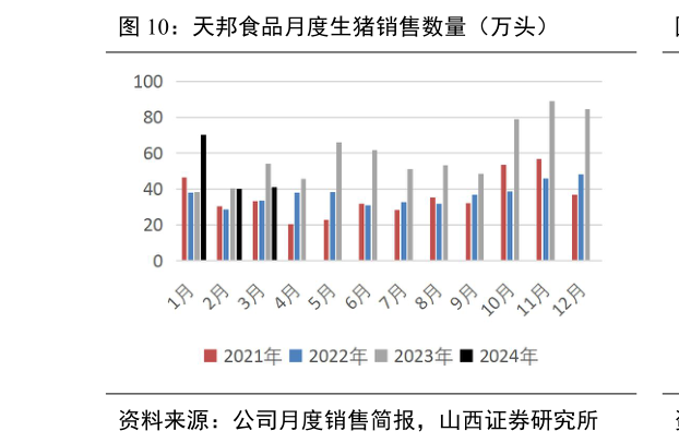 谁知道天邦食品月度生猪销售数量(万头)?