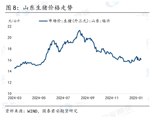 谁知道山东生猪价格走势