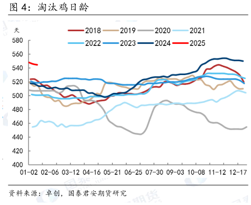 一起讨论下淘汰鸡日龄