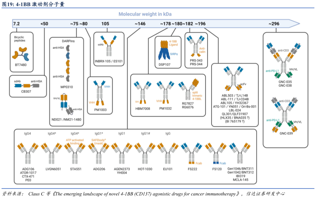 如何看待4-1BB 激动剂分子量?