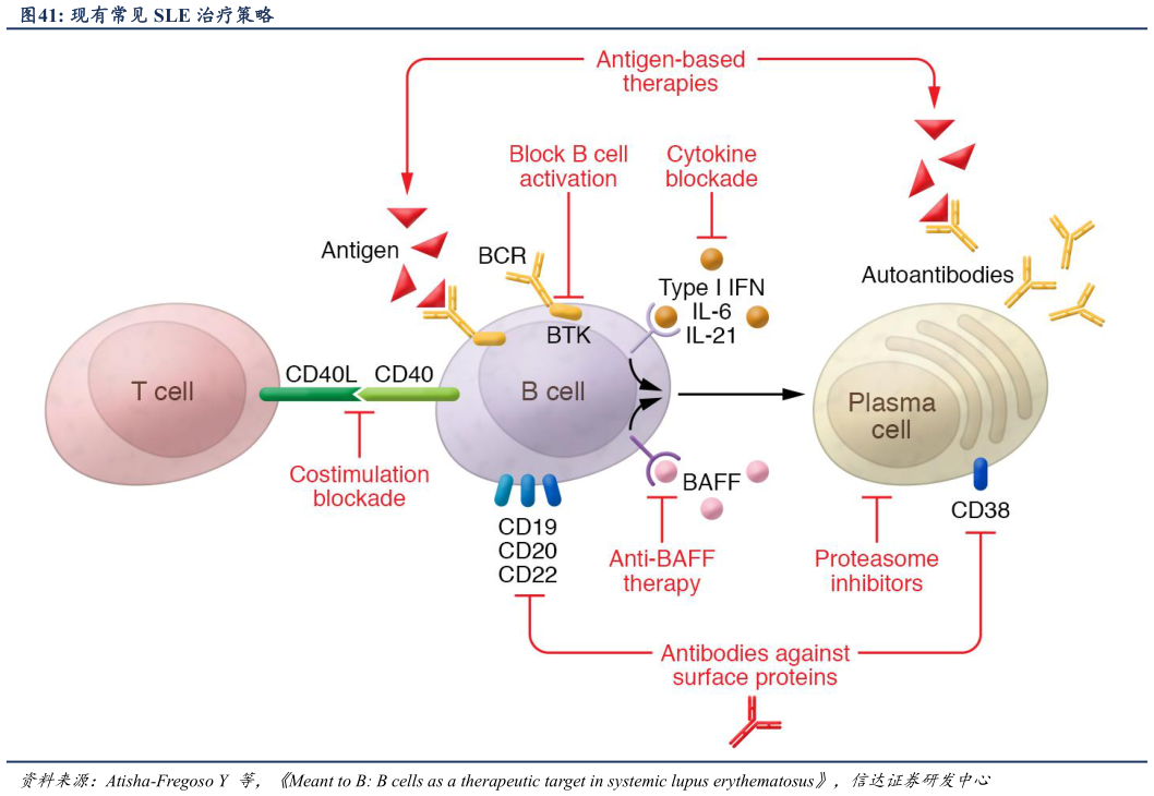 请问一下现有常见 SLE 治疗策略?