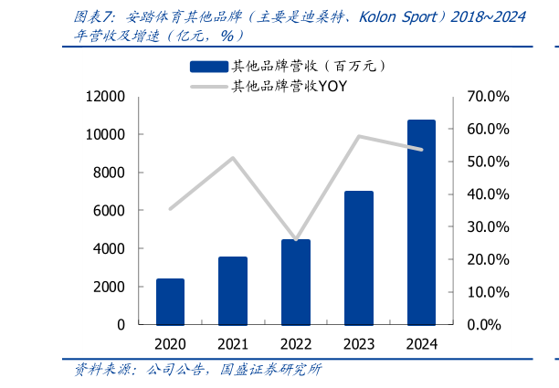 想关注一下安踏体育其他品牌（主要是迪桑特、Kolon Sport）20182024