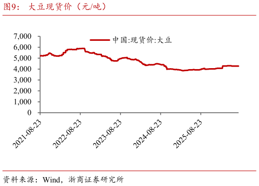 我想了解一下大豆现货价（元吨）