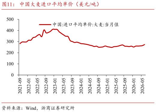 如何看待中国大麦进口平均单价（美元吨）