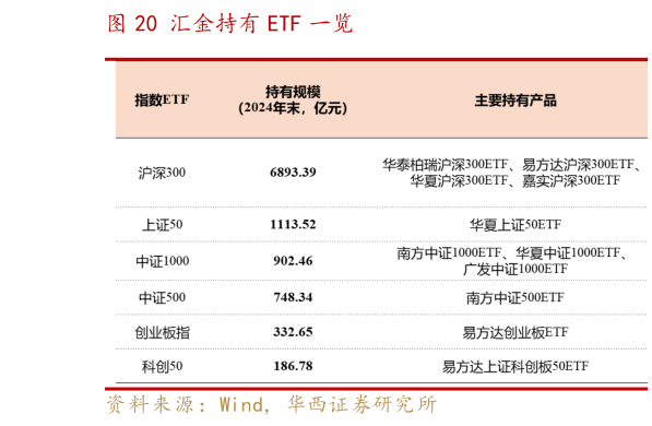 如何解释汇金持有 ETF 一览