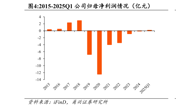 想关注一下2015-2025Q1 公司归母净利润情况（亿元）