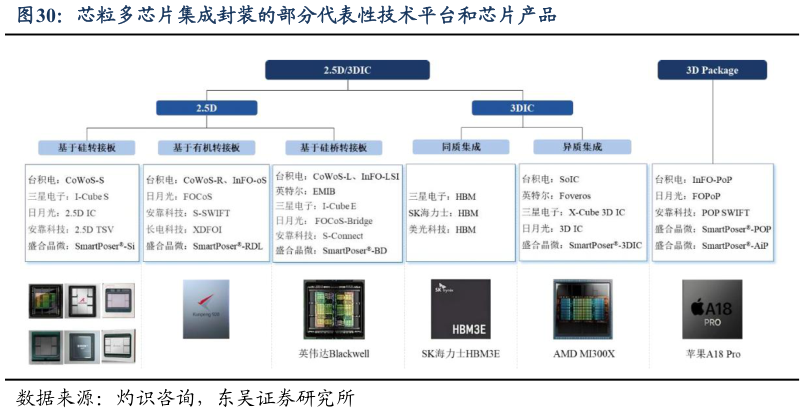 如何解释芯粒多芯片集成封装的部分代表性技术平台和芯片产品