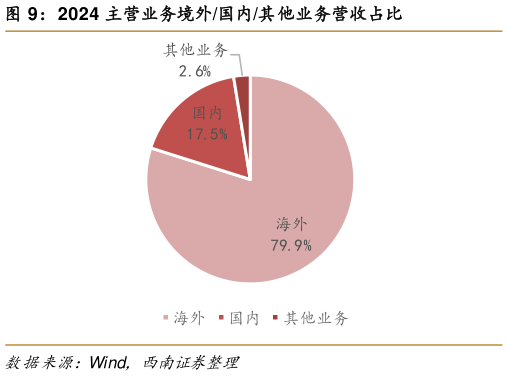 想关注一下2024 主营业务境外国内其他业务营收占比