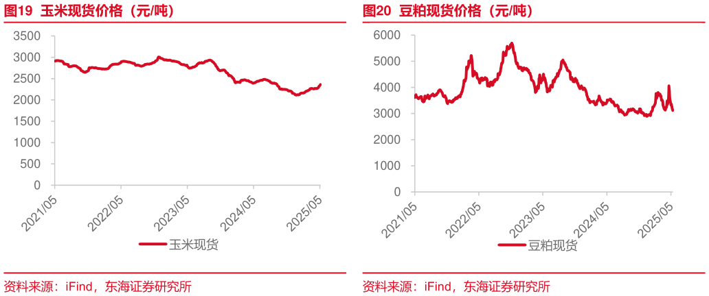 如何了解玉米现货价格（元吨）豆粕现货价格（元吨）