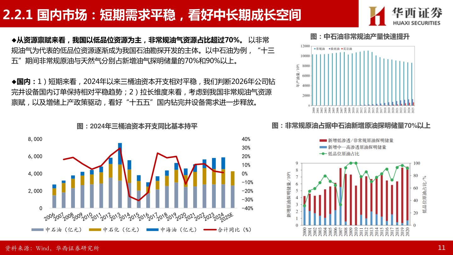 如何了解2.2.1 国内市场：短期需求平稳，看好中长期成长空间?