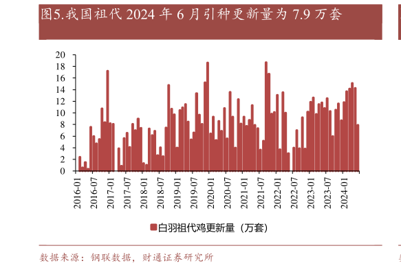如何了解.我国祖代 2024 年 6 月引种更新量为 7.9 万套?