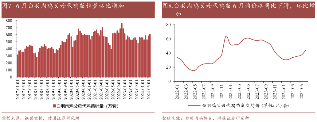 怎样理解. 6 月白羽肉鸡父母代鸡苗销量环比增加?