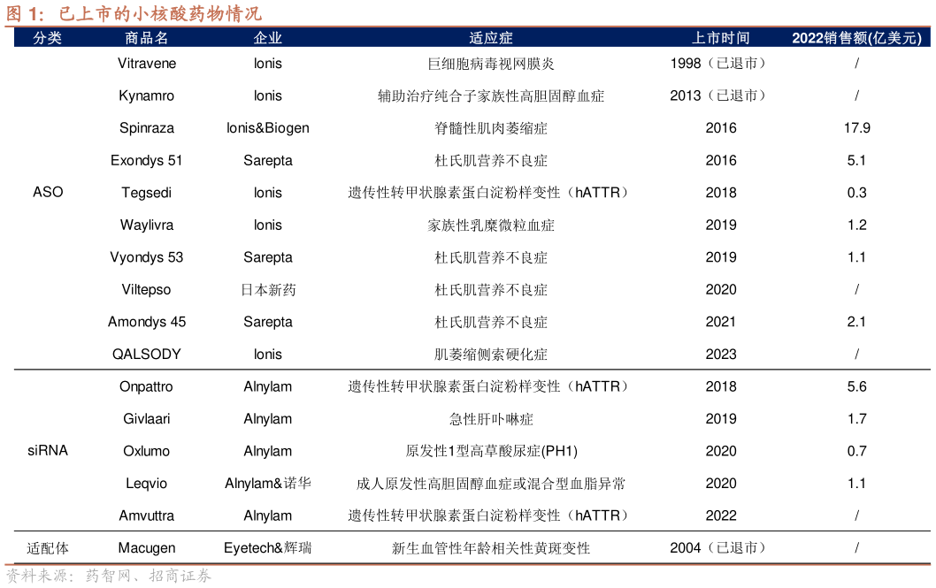 各位网友请教一下已上市的小核酸药物情况?