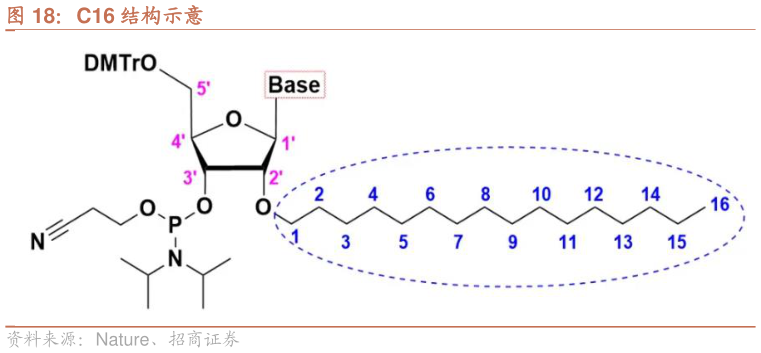 一起讨论下C16 结构示意?
