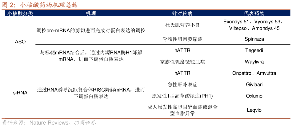 如何看待小核酸药物机理总结?