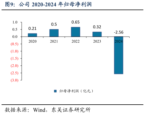 想问下各位网友公司 2020-2024 年归母净利润