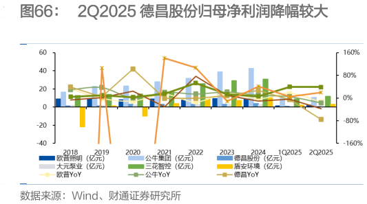 如何了解2Q2025 德昌股份归母净利润降幅较大