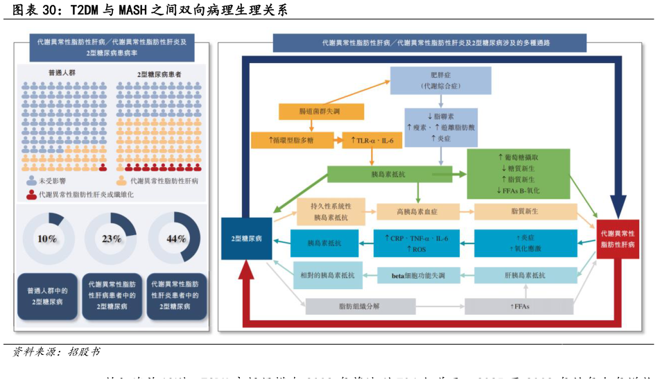 你知道T2DM 与 MASH 之间双向病理生理关系?