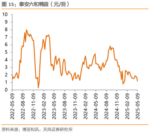 各位网友请教一下泰安六和鸭苗（元羽）