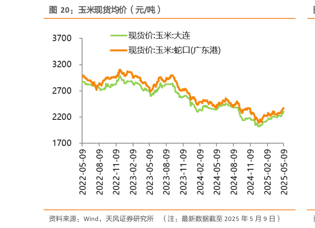 请问一下玉米现货均价（元吨）