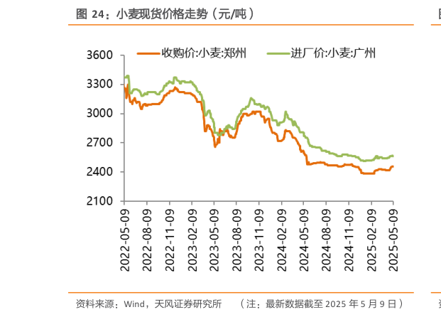 咨询下各位小麦现货价格走势（元吨）