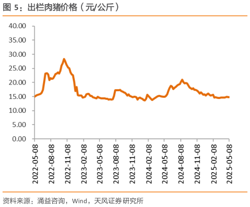如何才能出栏肉猪价格（元公斤）