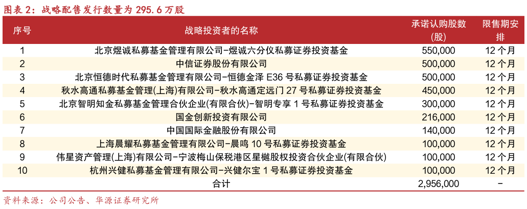 谁能回答战略配售发行数量为 295.6 万股