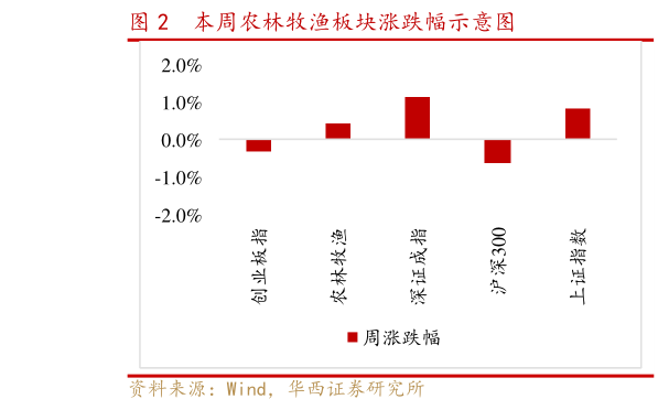 如何解释本周农林牧渔板块涨跌幅示意图