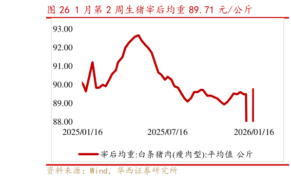 谁知道1 月第 2 周生猪宰后均重 89.71 元公斤