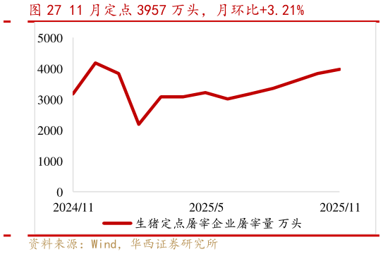 如何了解11 月定点 3957 万头，月环比3.21%