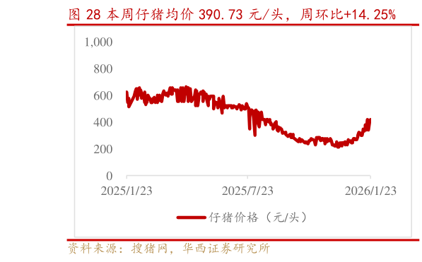 咨询下各位本周仔猪均价 390.73 元头，周环比14.25%