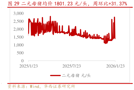 如何了解二元母猪均价 1801.23 元头，周环比31.37%