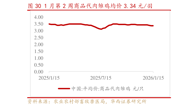 如何解释1 月第 2 周商品代肉雏鸡均价 3.34 元羽
