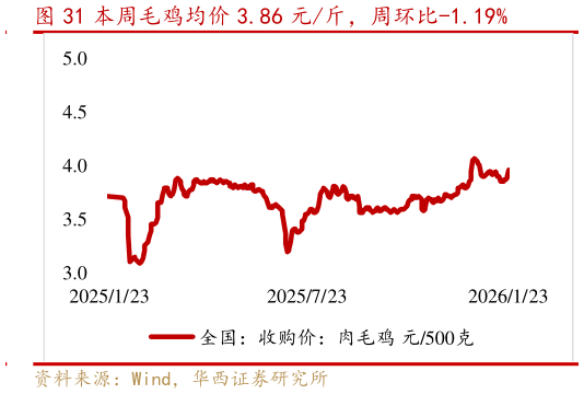想问下各位网友本周毛鸡均价 3.86 元斤，周环比-1.19%