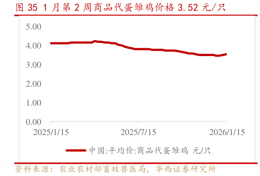 如何才能1 月第 2 周商品代蛋雏鸡价格 3.52 元只?