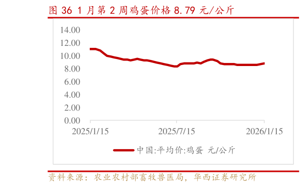 如何了解1 月第 2 周鸡蛋价格 8.79 元公斤?