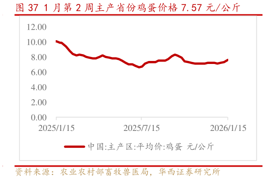 各位网友请教一下1 月第 2 周主产省份鸡蛋价格 7.57 元公斤?