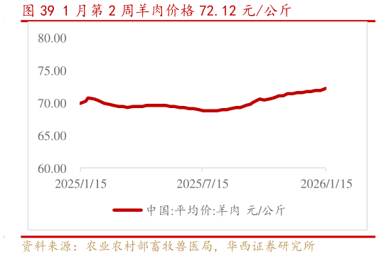 一起讨论下1 月第 2 周羊肉价格 72.12 元公斤?