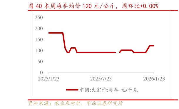 咨询下各位本周海参均价 120 元公斤，周环比0.00%?