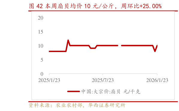 你知道本周扇贝均价 10 元公斤，周环比25.00%?