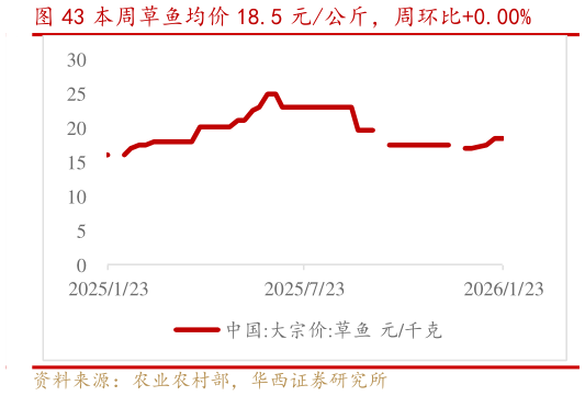 如何了解本周草鱼均价 18.5 元公斤，周环比0.00%?