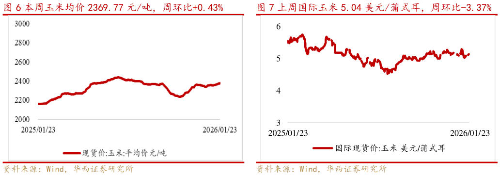 如何了解本周玉米均价 2369.77 元吨，周环比0.43%上周国际玉米 5.04 美元蒲式耳，周环比-3.37%