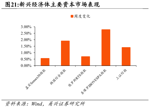 各位网友请教一下新兴经济体主要资本市场表现