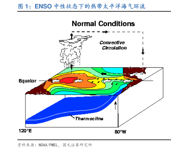 请问一下ENSO 中性状态下的热带太平洋海气环流