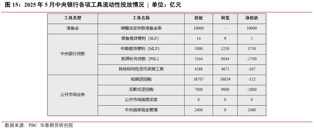 怎样理解2025 年 5 月中央银行各项工具流动性投放情况  